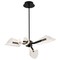 Nuvo Sedona, 27 Inch 4 Light LED Chandelier, Matte Black, Silk Screened Acrylic Lens 62/2283 - alternate 5